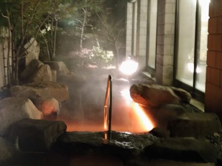 水中・温泉用富士メディシィエ LEDテープライト 防水 水没可 本体拡散タイプ ケーブル5m付 屋外照明 水中照明 プール照明 温泉照明 間 水中・温泉用照明 水中・温泉用富士メディシィエ LEDテープライト 防水