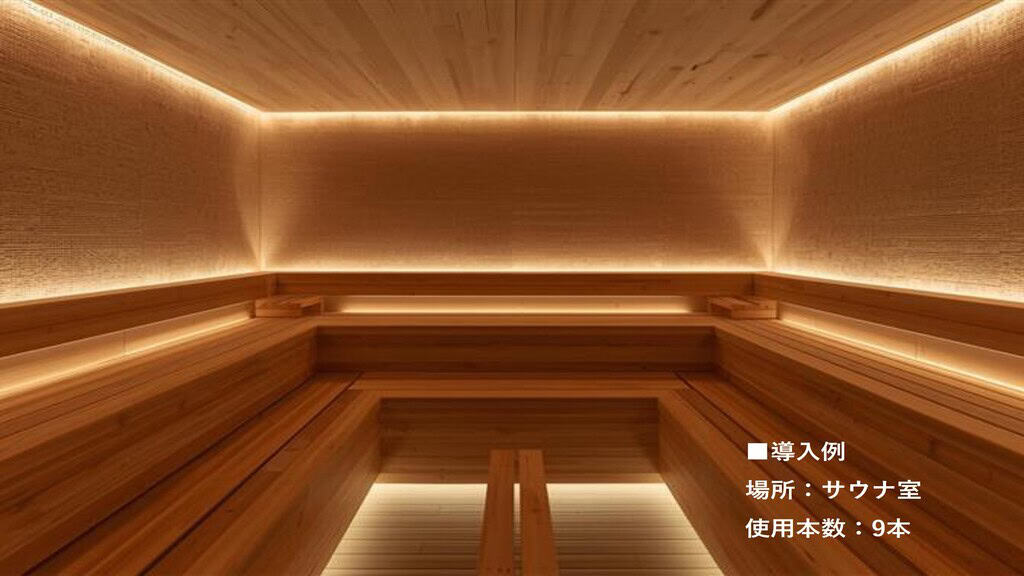 導入_サウナ用FDTラインライト